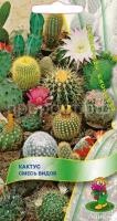 Кактус Смесь видов Кактус Смесь видов