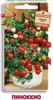 Томат Пиноккио 12шт Томат Пиноккио 12шт