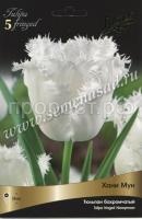 Тюльпан Бахромчатый Ханимун (белый, 10шт, 11-12) 725005 Тюльпан Бахромчатый Ханимун (белый, 10шт, 11-12) 725005