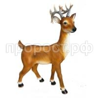 олененок866 олененок866