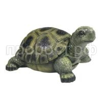 черепаха 673