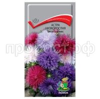 Астра-низкорослая-Тиеса-стар-микс-0,2г-Поиск Астра-низкорослая-Тиеса-стар-микс-0,2г-Поиск