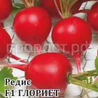 Редис Глориет F1 1000 шт Редис Глориет F1 1000 шт
