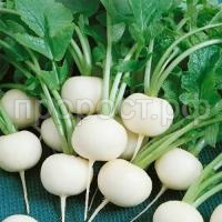 НоменклатураПрисоединенныеФайлы НоменклатураПрисоединенныеФайлы