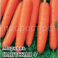 Морковь Нантская 4 100г Морковь Нантская 4 100г