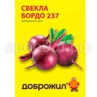 свекла бордо 237 свекла бордо 237