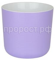 лион лаванда лион лаванда