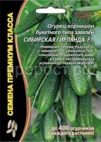 ogurec-sibirskaya-girlyanda-uralskij-dachnik