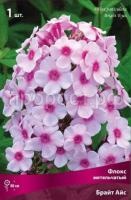 Флокс метельчатый Брайт Айс