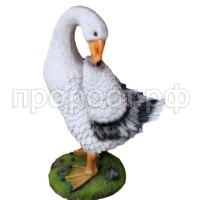 Гусь чистит перья Гусь чистит перья