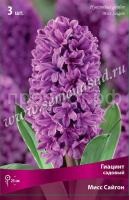 Мисс Сайгон