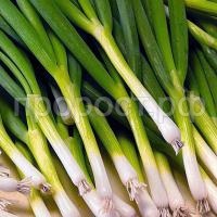 С160574_1 С160574_1