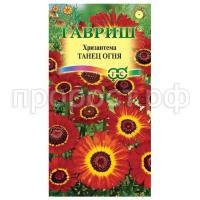 хризантема танец хризантема танец