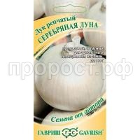 luk-repchatyy-serebryanaya-luna-gavrish_1 luk-repchatyy-serebryanaya-luna-gavrish_1