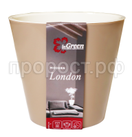 лондон мол шок