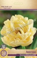 Тюльпан Авангард Тюльпан Авангард