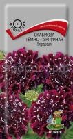 Скабиоза тёмно-пурпурная Бордовая Скабиоза тёмно-пурпурная Бордовая