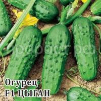 Огурец Цыган F1 250 шт Огурец Цыган F1 250 шт
