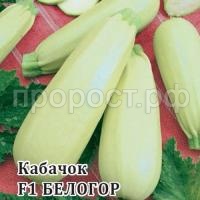 Кабачок Белогор F1 100 гр Кабачок Белогор F1 100 гр