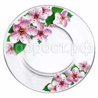 327-д сакура 327-д сакура