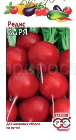 Редис Заря 3,0 г  Редис Заря 3,0 г