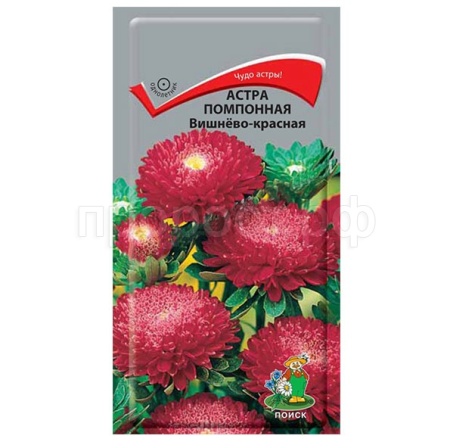 Астра помпонная Вишнево-красная 0,3г  Астра помпонная Вишнево-красная 0,3г