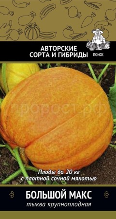 Поиск Тыква крупноплодная Большой Макс 10шт