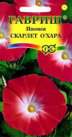 Ипомея Скарлет О Хара 0,5г 