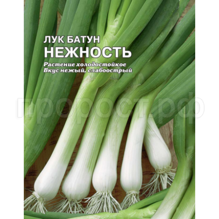 Лук батун Нежность 5г  Лук батун Нежность 5г