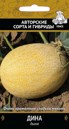 Поиск Дыня Дина 15шт