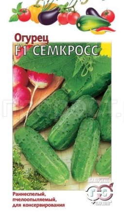 Огурец Семкросс F1 10шт Огурец Семкросс F1 10шт