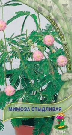 Мимоза Стыдливая 0,3г Мимоза Стыдливая 0,3г
