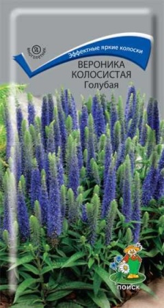 Вероника колосистая Голубая 0,1гр Вероника колосистая Голубая 0,1гр