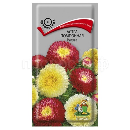 Астра помпонная Наташа 0,3г  Астра помпонная Наташа 0,3г