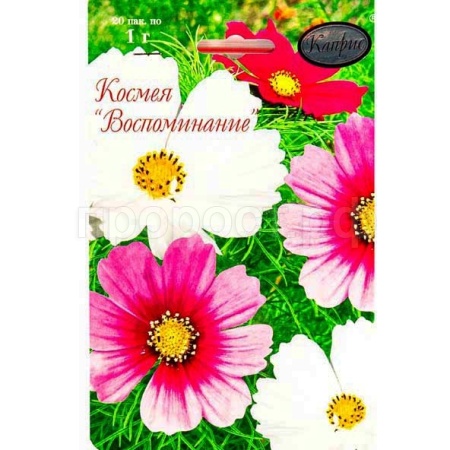 Космея Смесь Воспоминание 20*1  Космея Смесь Воспоминание 20*1