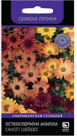 Остеоспермум Акилла Гранд Каньон Микс 5шт Остеоспермум Акилла Гранд Каньон Микс 5шт