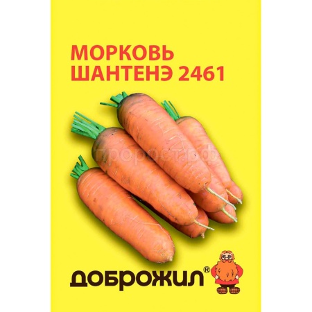 Морковь Шантенэ 2461 2г Морковь Шантенэ 2461 2г