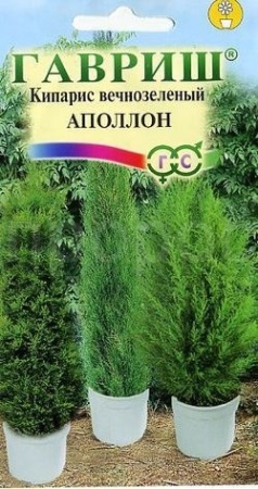 Кипарис Апполон вечнозеленый 0,1г Кипарис Апполон вечнозеленый 0,1г