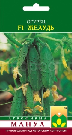 Огурец Желудь F1 12 шт Огурец Желудь F1 12 шт