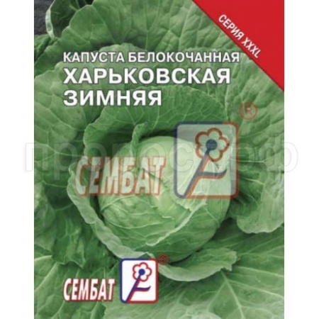 Капуста белокочанная Харьковская зимняя 10г XXXL Капуста белокочанная Харьковская зимняя 10г XXXL