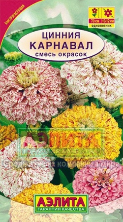 Цинния Карнавал смесь