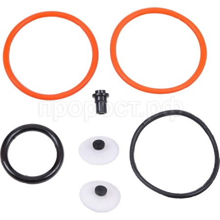 Ремкомплект Жук №2 к ранцевым опрыскивателям ОП-111, ОП-112 Ремкомплект Жук №2 к ранцевым опрыскивателям ОП-111, ОП-112