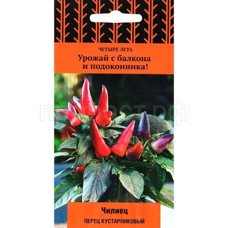 Перец кустарниковый Чилиец 5шт  Перец кустарниковый Чилиец 5шт