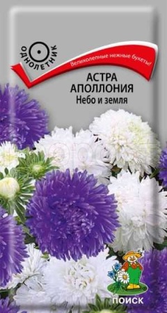 Астра Аполлония Небо и земля 0,3г  Астра Аполлония Небо и земля 0,3г