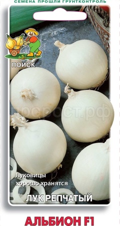Лук репчатый Альбион 1г F1 Лук репчатый Альбион 1г F1
