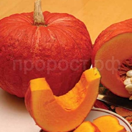 Сембат XXXL Тыква крупноплодная Конфетка 10г