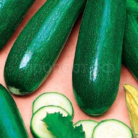 Гавриш Фермерская Кабачок Мавр 25 гр