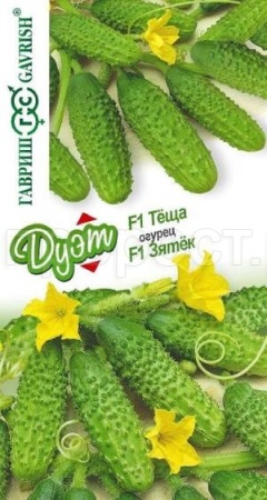 Огурец Зятек F1 10шт +Теща F1 10шт Огурец Зятек F1 10шт +Теща F1 10шт