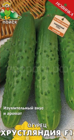 Поиск Огурец Хрустляндия F1 12шт