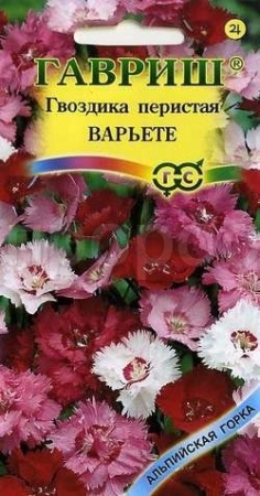 Гвоздика Варьете смесь 0,2г  Гвоздика Варьете смесь 0,2г